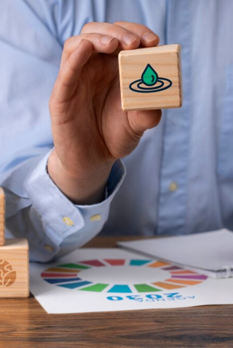 Sustainability and Growth